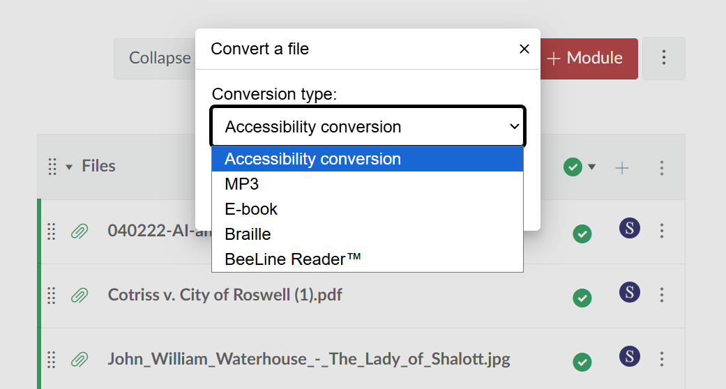 screenshot of file type options available through SensusAccess tool in Canvas