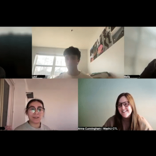 A screen capture of the participants in the Learning in the Age of AI webinar.