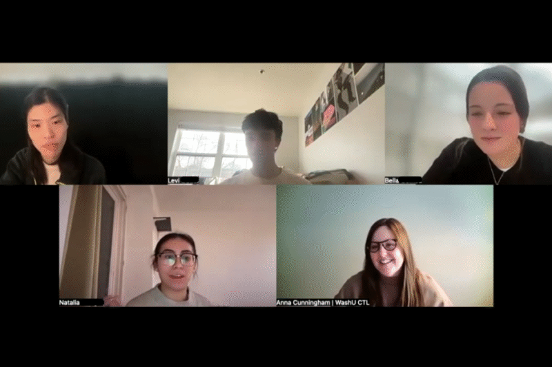 A screen capture of the participants in the Learning in the Age of AI webinar.